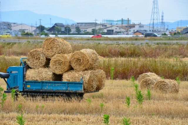 ファームダンプの活躍するフィールドや主な積み荷とは？