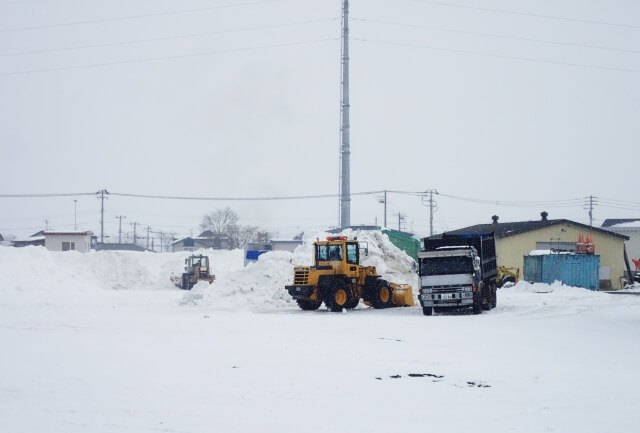 信託 エストック 雪道脱出用鉄ヘルパー 大型車用 2個セット 760mm×幅300mm PR-86