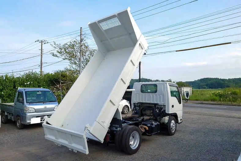 いすゞ エルフ 小型 ダンプ BKG-NKR85 H22の中古トラック画像13