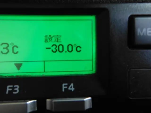 日野 プロフィア 大型 冷凍冷蔵 低温 パワーゲートの中古トラック画像12