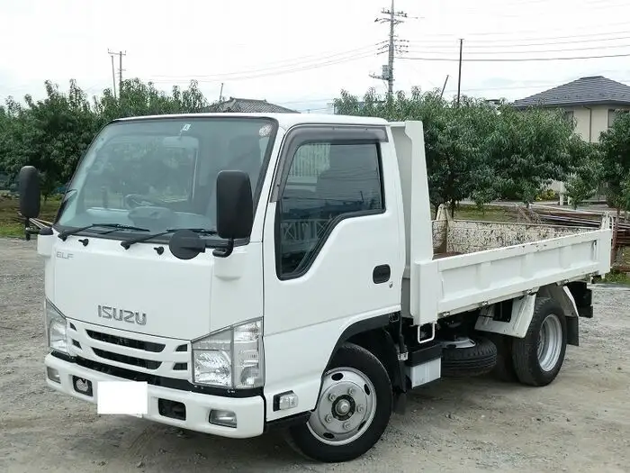 いすゞ エルフ 小型 ダンプ 2RG-NJR88AN R2の中古トラック画像1
