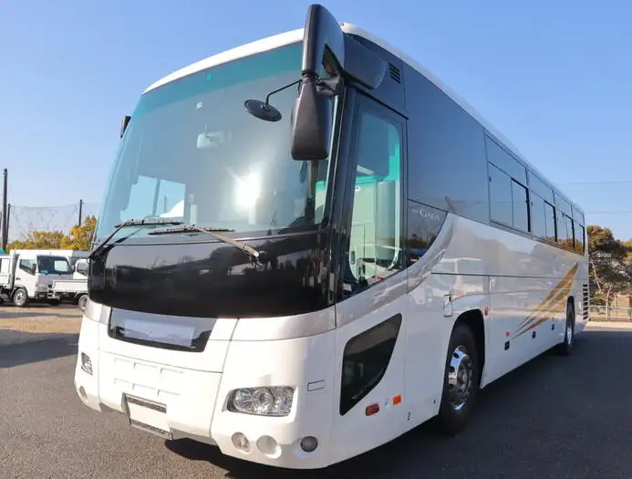 いすゞ ガーラ 大型 バス 観光バス PKG-RU1ESAJ の中古トラック