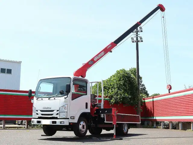 いすゞ エルフ 小型 クレーン付 3段 ラジコンの中古トラック画像5