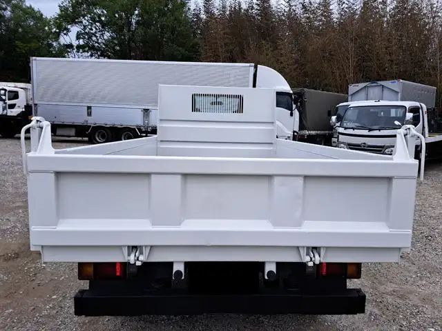 いすゞ エルフ 小型 ダンプ BDG-NKR85AD H19の中古トラック画像3