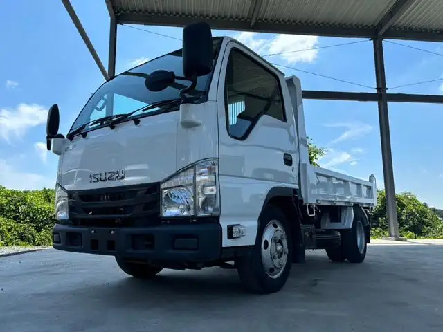 いすゞ エルフ 小型 ダンプ  H30の中古トラック画像1