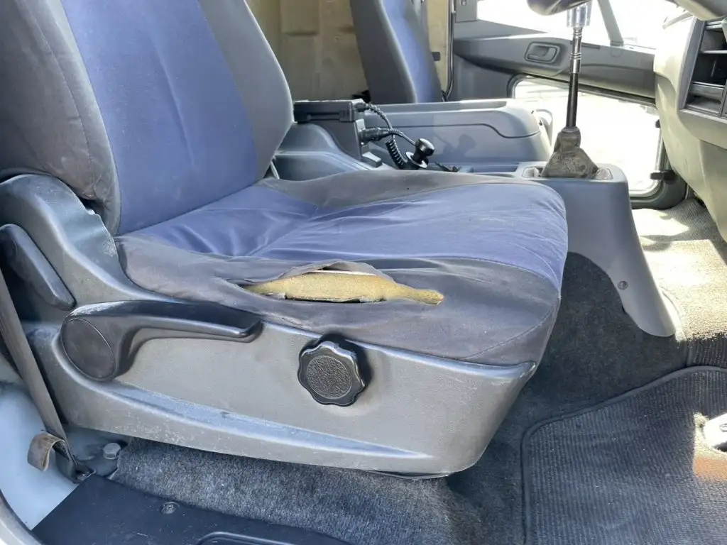 三菱 ファイター 中型/増トン ウイング エアサス ベッドの中古トラック画像13