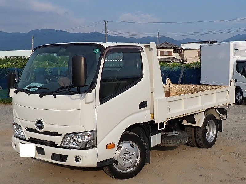 いすゞ エルフ 小型 ダンプ 強化 TPG-NJR85AN の中古トラック【車両No.195685】