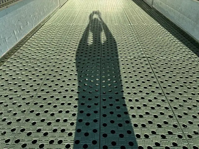 日野 レンジャー 中型/増トン アルミバン パワーゲート サイドドアの中古トラック画像8