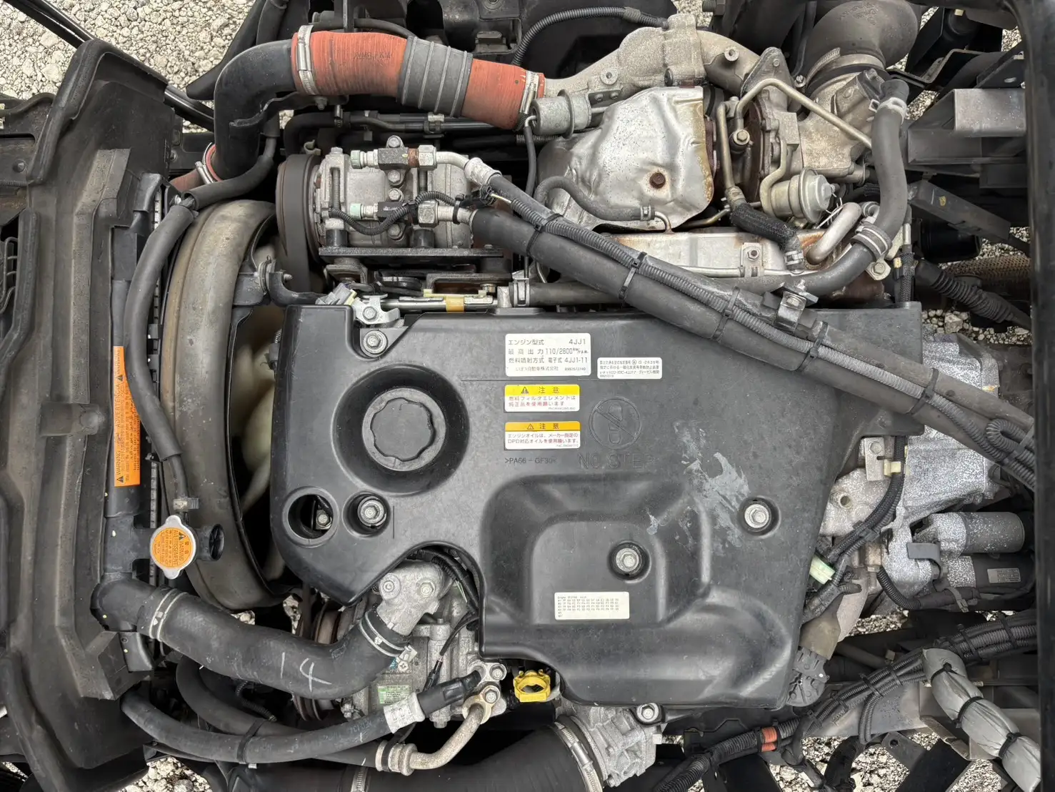 いすゞ エルフ 小型 冷凍冷蔵 低温 パワーゲートの中古トラック画像19