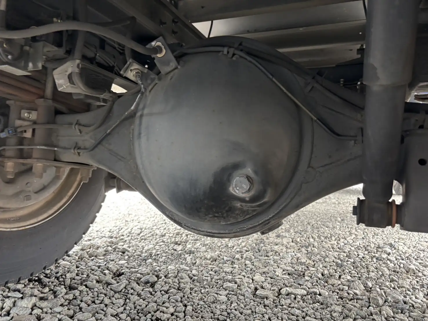 いすゞ エルフ 小型 冷凍冷蔵 低温 パワーゲートの中古トラック画像18