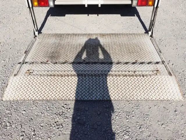 いすゞ エルフ 小型 冷凍冷蔵 中温 パワーゲートの中古トラック画像9