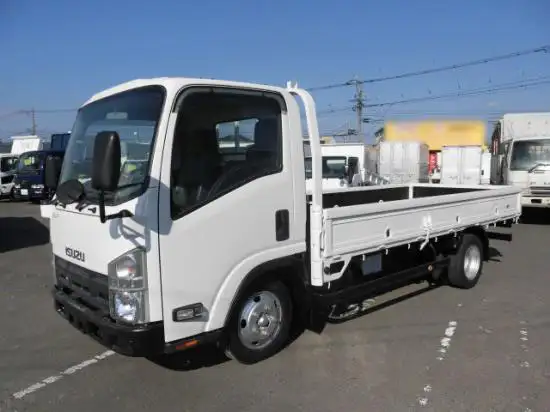 いすゞ エルフ 小型 平ボディ BKG-NLR85AR H21の中古トラック画像1